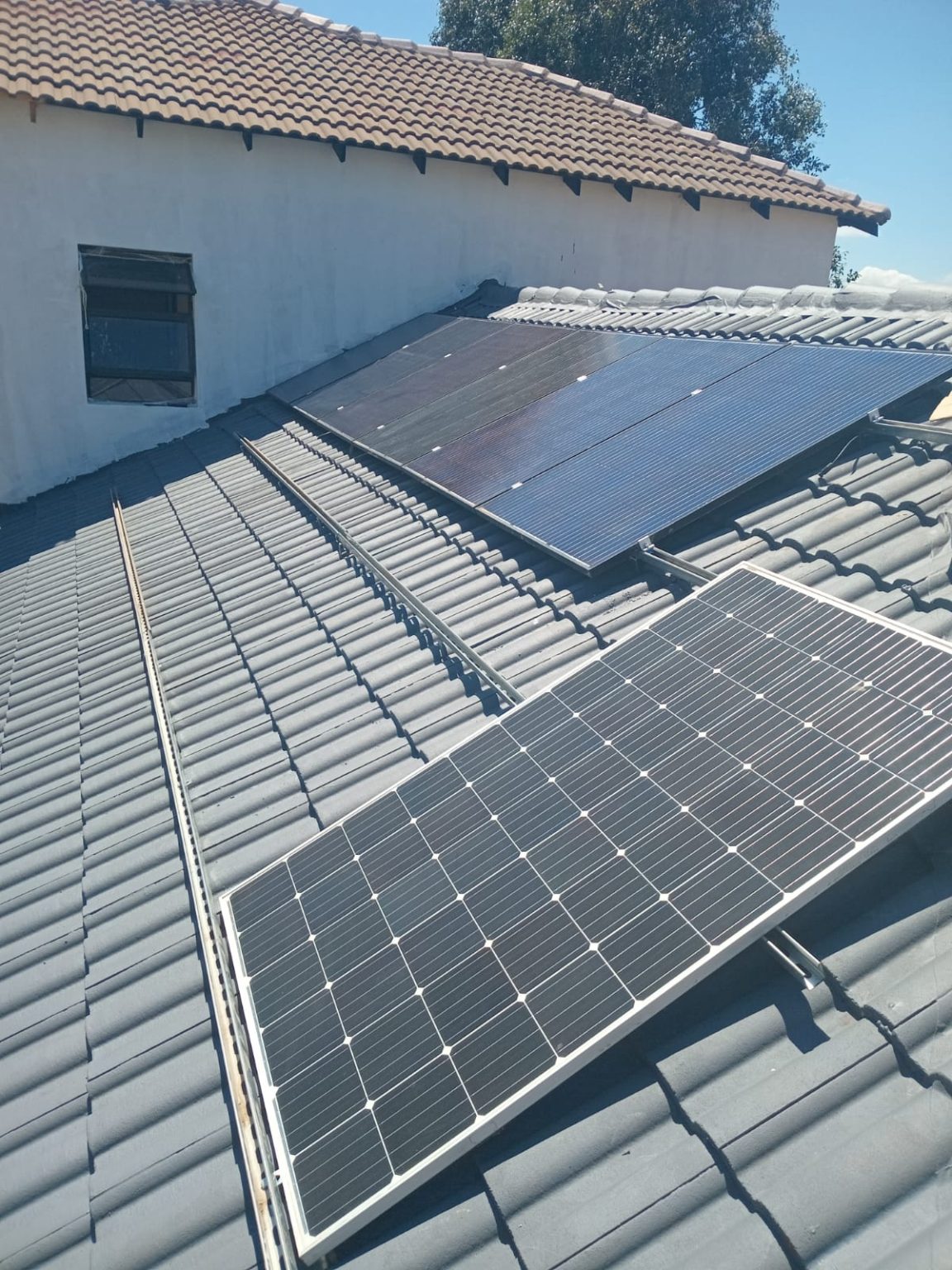 WhatsApp Image 2026-01-17 at 10.02.38